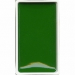 Akvarellküvett Gansai Tambi Hooker`s Green Nr52