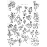 Portselani kleeppilt pehmed jooned.Haldjad. A4