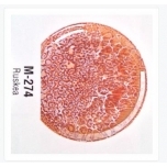 Mederi Marmor Lüster M274 Pruun 5gr