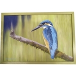 Õlimaal Jäälind raamitud Meelis Karpender 45*64cm 