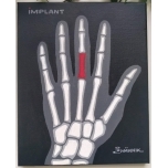 Implant.Akrüülmaal lõuend alusraamil. 25*20cm