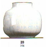 Mederi Valguv V20 Iiris 5gr