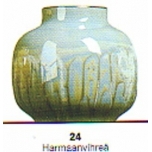 Mederi Valguv V24 lüster Hallikasroheline 5gr